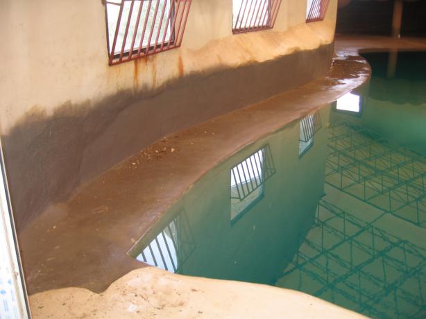 پارک دلفین-کیش