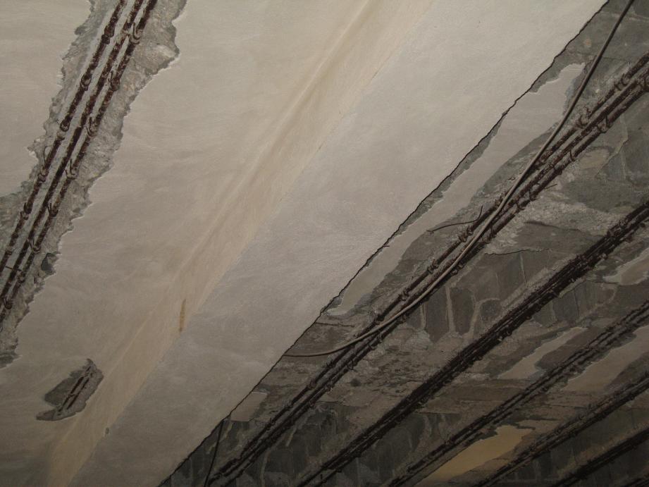 پارک دلفین-کیش